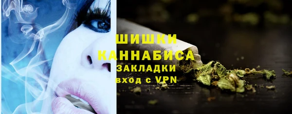 первитин Новодвинск