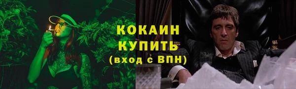 первитин Новодвинск