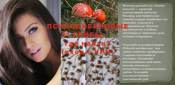 МДПВ Новокубанск