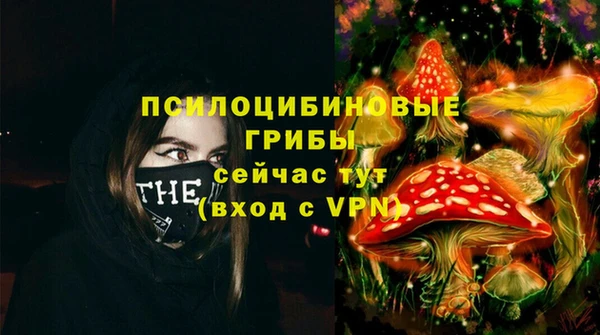 МДПВ Новокубанск