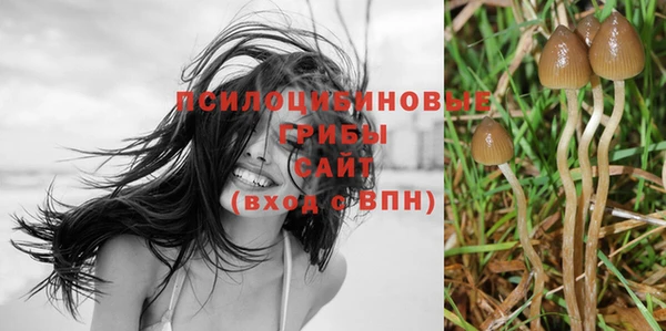 первитин Новодвинск