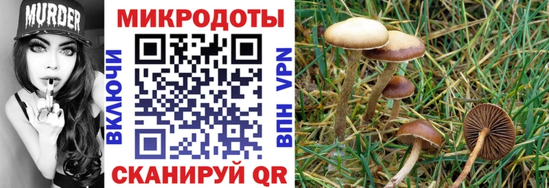 сайты даркнета формула  Владикавказ  Псилоцибиновые грибы мицелий 