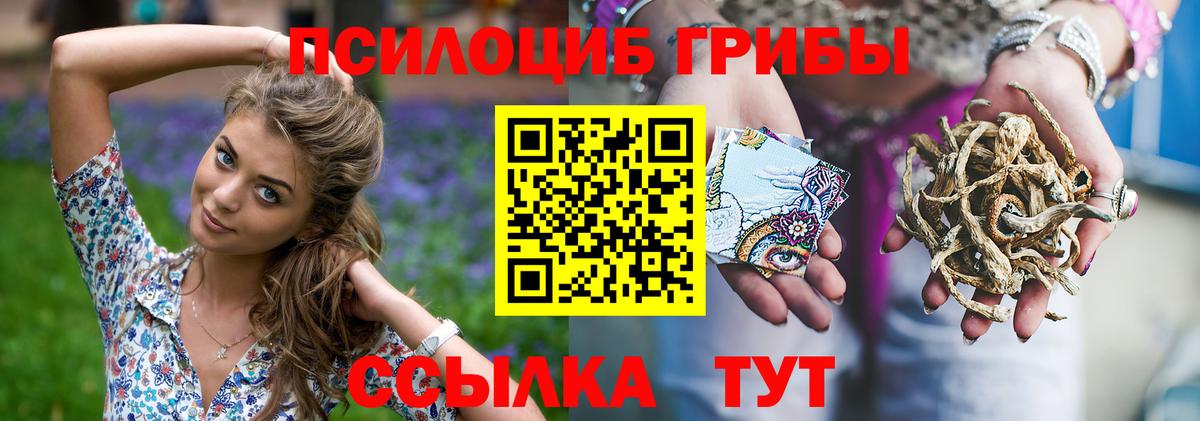 Псилоцибиновые грибы GOLDEN TEACHER  наркошоп  Вход с VPN  Владикавказ  Псилоцибиновые грибы Cubensis 